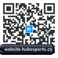系统版 iOS 二维码